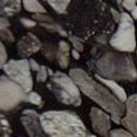 Black Marinache