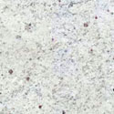 Kashmir White